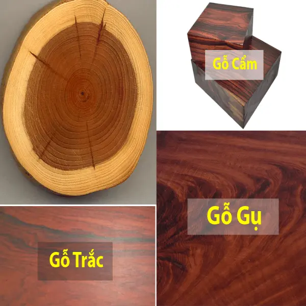 Cách nhận biết các loại gỗ quý [Bí Quyết Của Chuyên Gia]