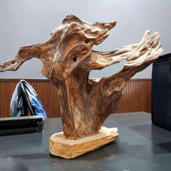 Có nên để gỗ Ngọc Am trong nhà? Sự thật về lợi ích sức khỏe và phong thủy