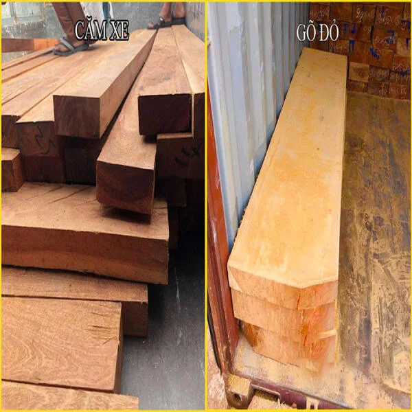 So sánh gỗ Căm Xe và gỗ Gõ Đỏ: Lựa chọn nào dành cho bạn?