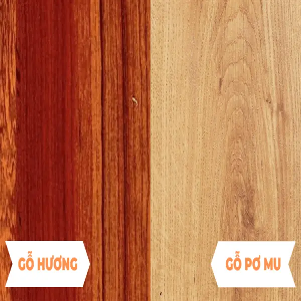 So sánh gỗ Hương và gỗ Pơ mu: Lựa chọn nào tối ưu cho Nội thất Gỗ Tự nhiên?