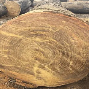 1 khối gỗ giá bao nhiêu tiền năm 2025? [Bảng Giá Chi Tiết]