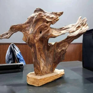 Có nên để gỗ Ngọc Am trong nhà? Sự thật về lợi ích sức khỏe và phong thủy