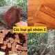 Danh mục các loại gỗ nhóm 2 ở Việt Nam