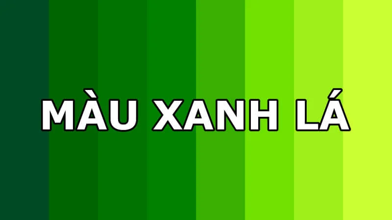 Mệnh mộc rất hợp với màu xanh lá