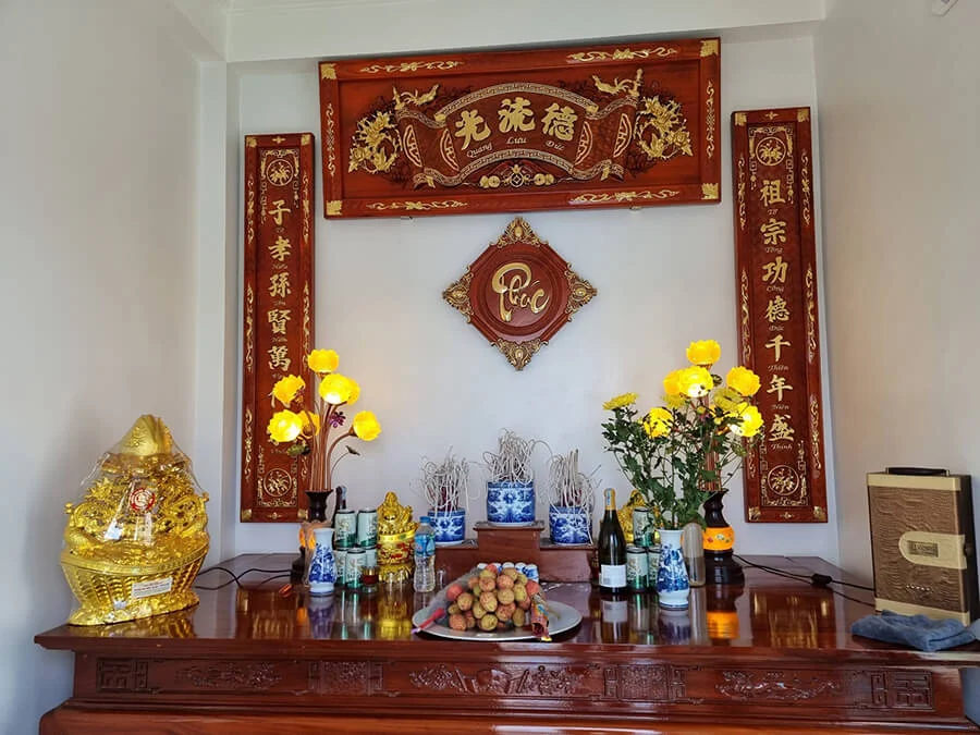 Hình dáng và Cấu trúc