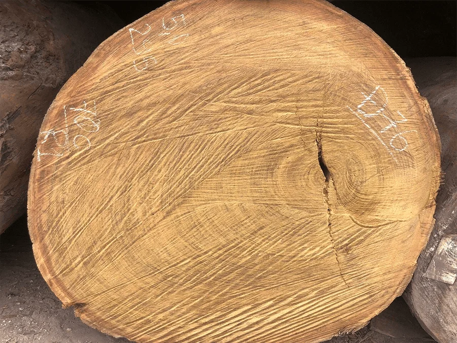 Gỗ Lim - Sức mạnh trường tồn