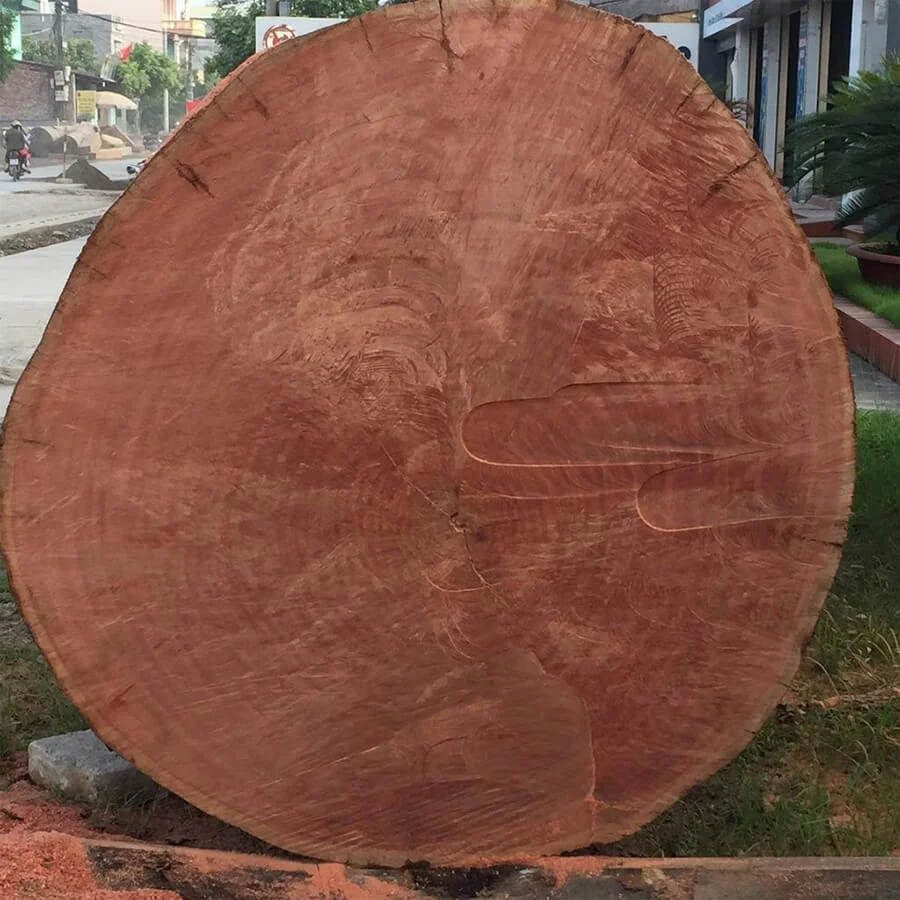 Gỗ Đinh - Vua của các loại gỗ