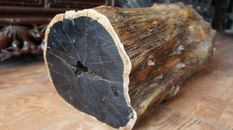 Gỗ Mun (Black Ebony)