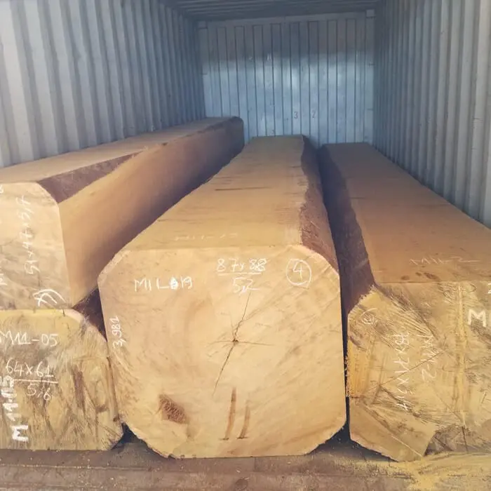 Giá gỗ dổi hiện nay bao nhiêu?