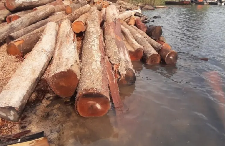 Ngâm dưới nước