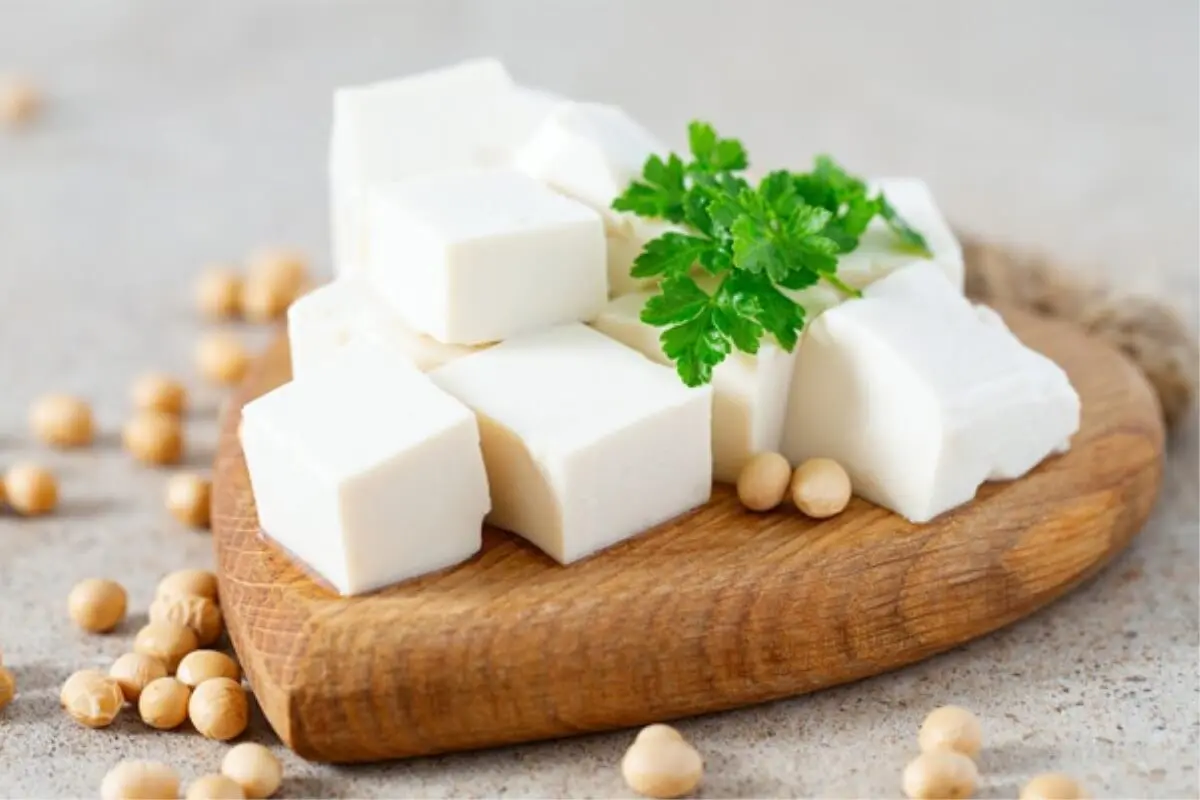 Các món từ đậu