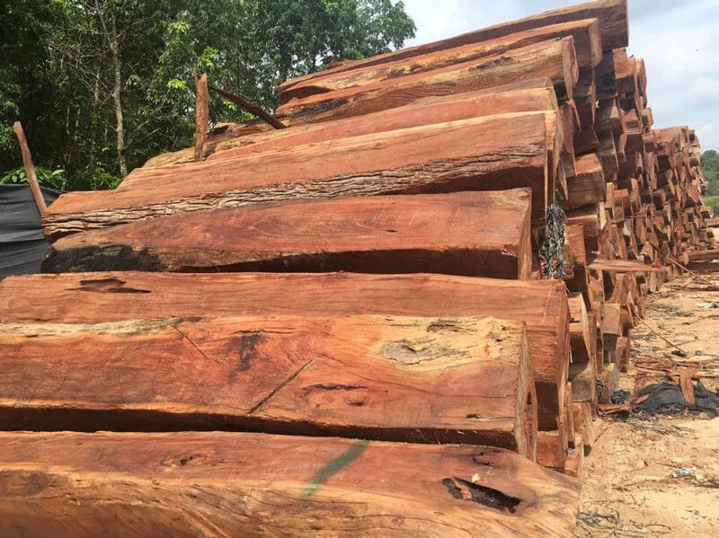 Gỗ căm xe - Vẻ đẹp mộc mạc bền bỉ