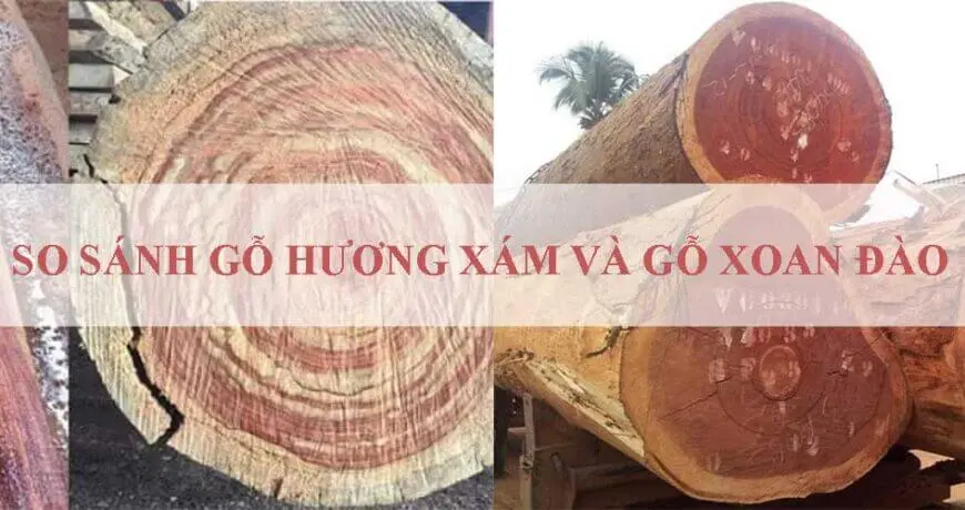 So sánh gỗ hương xám và gỗ xoan đào