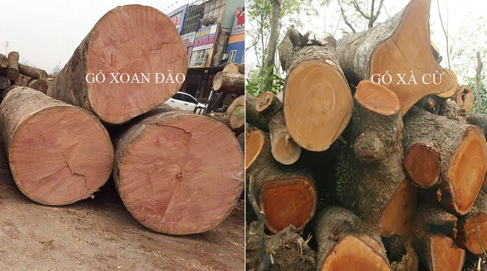Lựa chọn nào phù hợp với bạn?