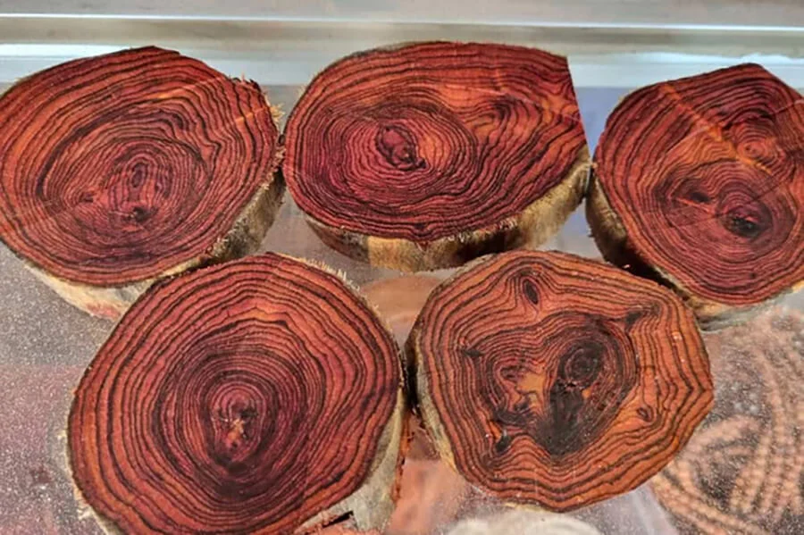  Gỗ Sưa (Dalbergia Odorifera)