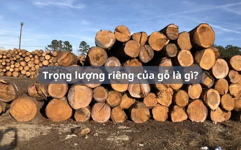 trọng lượng riêng của gỗ là gì?