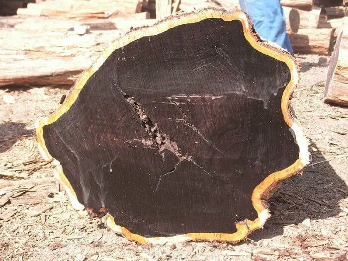 Nhóm I (Gỗ quý hiếm)